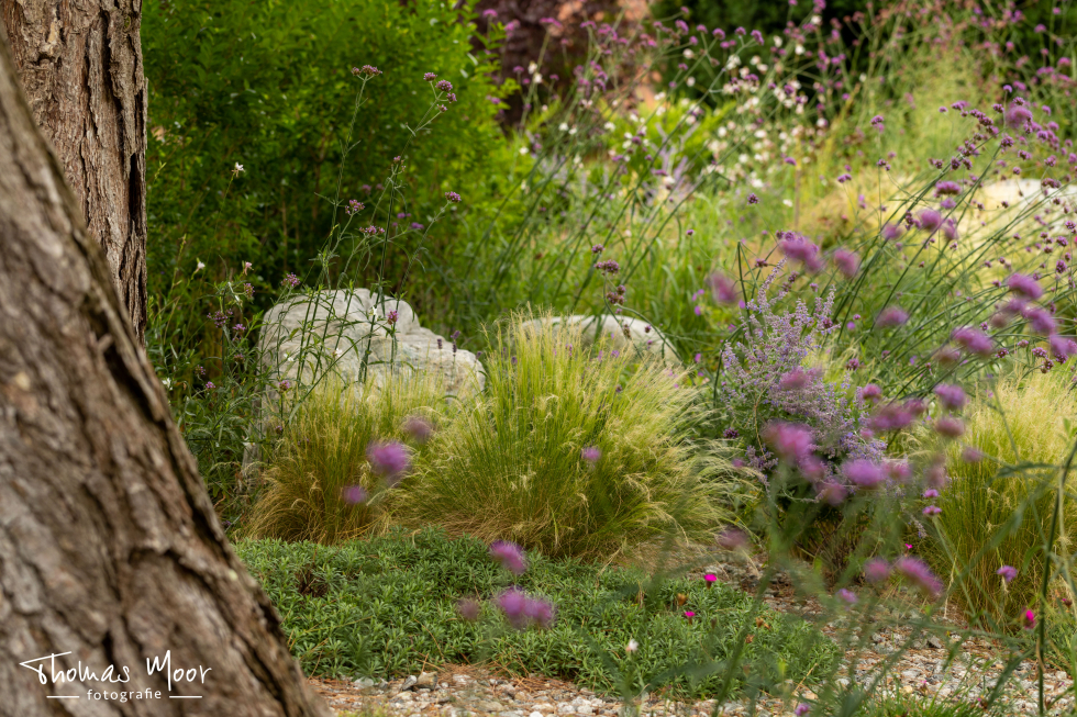 Schönheit im Garten über das ganze Jahr mit Gärten von Moor-Nebel